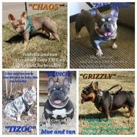 processed/d8a39411-5b01-4de7-9aa0-2930fbfa080a/facility/5a72438e-3474-4d8a-b6f3-d2a1e6e3f7b1