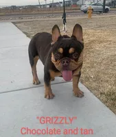 processed/d8a39411-5b01-4de7-9aa0-2930fbfa080a/facility/68bf908a-71a9-44e6-9715-2e1521eb8b9d