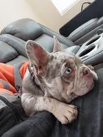 processed/d8a39411-5b01-4de7-9aa0-2930fbfa080a/facility/7b46f673-6654-4524-b310-965bf723ed30