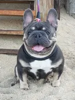 processed/d8a39411-5b01-4de7-9aa0-2930fbfa080a/facility/ab81fcc4-496b-4698-a97a-3929f4ccd17b