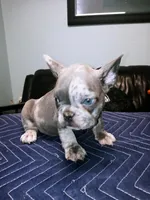 processed/d8a39411-5b01-4de7-9aa0-2930fbfa080a/facility/b1cbfb71-14d5-4c74-81ef-1005d1293c50