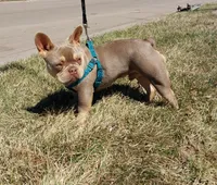 processed/d8a39411-5b01-4de7-9aa0-2930fbfa080a/facility/c5a002e8-100b-4727-b09f-08a6ae035a8e