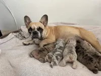 processed/d8a39411-5b01-4de7-9aa0-2930fbfa080a/facility/d2358276-9d2d-42de-b959-d3731883d39b