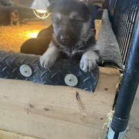 processed/d8aa3c6d-cc8c-42f1-a5b7-5b7caca45c50/facility/405c0dff-b7a0-4644-9fc7-d5ba0397a282