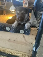 processed/d8aa3c6d-cc8c-42f1-a5b7-5b7caca45c50/facility/405c0dff-b7a0-4644-9fc7-d5ba0397a282