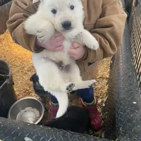 processed/d8aa3c6d-cc8c-42f1-a5b7-5b7caca45c50/facility/eae7c14c-c3cf-4130-aa00-a0b984c8a990