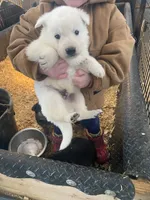 processed/d8aa3c6d-cc8c-42f1-a5b7-5b7caca45c50/facility/eae7c14c-c3cf-4130-aa00-a0b984c8a990