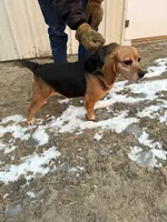 processed/d8aa3c6d-cc8c-42f1-a5b7-5b7caca45c50/listing/7f563d7e-8b78-4b8c-bd1b-3a98f358c2a1/3dc868e6-45de-495f-93d6-c37d35feac50