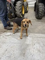 processed/d8aa3c6d-cc8c-42f1-a5b7-5b7caca45c50/listing/7f563d7e-8b78-4b8c-bd1b-3a98f358c2a1/7e3afaa0-5920-4cdf-a27b-e6e907823b5f