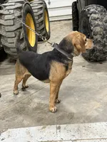 processed/d8aa3c6d-cc8c-42f1-a5b7-5b7caca45c50/listing/7f563d7e-8b78-4b8c-bd1b-3a98f358c2a1/d5e366b0-9a7a-4d99-87db-ab8b1b3d30b6