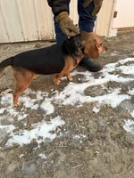 processed/d8aa3c6d-cc8c-42f1-a5b7-5b7caca45c50/listing/7f563d7e-8b78-4b8c-bd1b-3a98f358c2a1/e04ef736-7731-4d7e-98bd-b544784f3f01