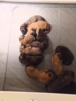 processed/d8b4e254-a9d0-4650-a91d-79be0ff594a5/facility/07907a85-22f1-4a49-9dbf-b287c73f86cd