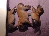 processed/d8b4e254-a9d0-4650-a91d-79be0ff594a5/facility/3bb23fca-7dcd-4729-981f-86112cd16d87