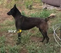 processed/d8b4e254-a9d0-4650-a91d-79be0ff594a5/facility/726cc86b-ae19-4a9b-aec7-1272b597988b