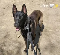 processed/d8b4e254-a9d0-4650-a91d-79be0ff594a5/facility/a92eae3c-c81b-40dc-8936-61205b8bbc11