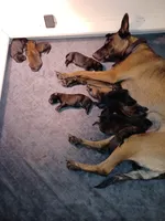 processed/d8b4e254-a9d0-4650-a91d-79be0ff594a5/facility/ba658dca-d3f9-43bb-8659-c01b47065496