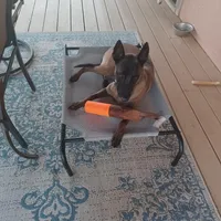 processed/d8b4e254-a9d0-4650-a91d-79be0ff594a5/facility/f52d62e4-d62f-4495-b072-c648592624aa