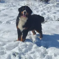 processed/d8b6f1a4-abc5-46ff-8186-a6f31ddf9c2a/facility/0ee3c4ed-aebf-41b1-a6c1-b49769ba8bc9