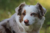 processed/d8b99516-d580-43b7-89db-cfb3e51c17b7/facility/0b64502a-9dbb-4fdb-b21f-964079233ad9