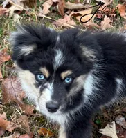 processed/d8b99516-d580-43b7-89db-cfb3e51c17b7/facility/0b9b83c5-f85a-4eb2-81a7-8fdada59251c