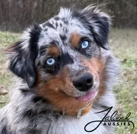 processed/d8b99516-d580-43b7-89db-cfb3e51c17b7/facility/2e813ba8-5d4f-467f-b6a6-b96aee43cce7