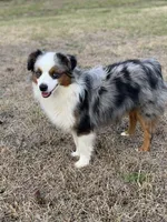 processed/d8b99516-d580-43b7-89db-cfb3e51c17b7/facility/448f93b7-f78c-47ab-acc8-0b9f60ae66c8