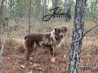 processed/d8b99516-d580-43b7-89db-cfb3e51c17b7/facility/67bd5e91-87fd-497f-bab5-e9e64ef62878