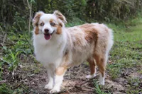 processed/d8b99516-d580-43b7-89db-cfb3e51c17b7/facility/7725bb25-744c-4dee-a1af-6434e2a52ed3