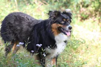 processed/d8b99516-d580-43b7-89db-cfb3e51c17b7/facility/a54f12ab-c2ac-4bd5-a9e7-fa5cdf2e76bf