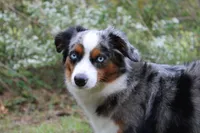 processed/d8b99516-d580-43b7-89db-cfb3e51c17b7/facility/a91eead0-d219-4811-b92e-82b7c2ca2eb8