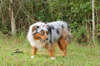 processed/d8b99516-d580-43b7-89db-cfb3e51c17b7/facility/fc027efc-2e0a-4dac-97bb-ce21bb9e6b69