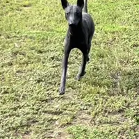 processed/d8c5a45d-9499-4f1c-b102-2b7a7618b096/facility/44b569b2-02fa-450e-b352-af5b9c684c06