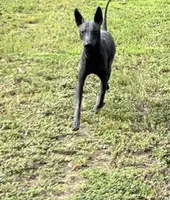 processed/d8c5a45d-9499-4f1c-b102-2b7a7618b096/facility/44b569b2-02fa-450e-b352-af5b9c684c06