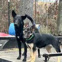 processed/d8c5a45d-9499-4f1c-b102-2b7a7618b096/facility/498deaf3-6e12-4a35-b26c-3f78fbc0ed05