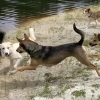 processed/d8c5a45d-9499-4f1c-b102-2b7a7618b096/facility/81b02443-1d87-49a8-a450-7b71f14a1112