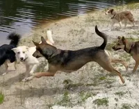 processed/d8c5a45d-9499-4f1c-b102-2b7a7618b096/facility/81b02443-1d87-49a8-a450-7b71f14a1112