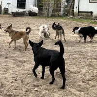 processed/d8c5a45d-9499-4f1c-b102-2b7a7618b096/facility/8ed3c78f-ab5f-4b7e-beba-36414a7ced84