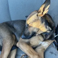 processed/d8c5a45d-9499-4f1c-b102-2b7a7618b096/facility/c492a41d-051a-4313-b86e-21d0dce14f44