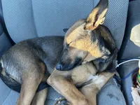 processed/d8c5a45d-9499-4f1c-b102-2b7a7618b096/facility/c492a41d-051a-4313-b86e-21d0dce14f44