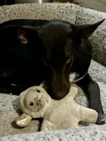 processed/d8c5a45d-9499-4f1c-b102-2b7a7618b096/listing/02f22da3-dc20-4226-b8c7-def0f030d606/02b266f8-adfe-4d16-9bd4-81e96c860c97