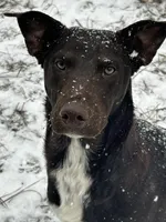 processed/d8c5a45d-9499-4f1c-b102-2b7a7618b096/listing/02f22da3-dc20-4226-b8c7-def0f030d606/26948046-de06-4e5a-916b-5446d297fb5b