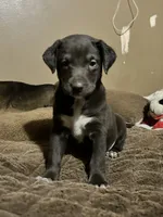 processed/d8c5a45d-9499-4f1c-b102-2b7a7618b096/listing/02f22da3-dc20-4226-b8c7-def0f030d606/8ae7be09-1d59-43b0-9583-fd589e564f0a