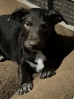 processed/d8c5a45d-9499-4f1c-b102-2b7a7618b096/listing/02f22da3-dc20-4226-b8c7-def0f030d606/944f639a-77f1-4355-b422-a6b51f4449be