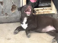 processed/d8c5a45d-9499-4f1c-b102-2b7a7618b096/listing/02f22da3-dc20-4226-b8c7-def0f030d606/982af64b-e9e6-4f31-a549-e17ed4cc6813