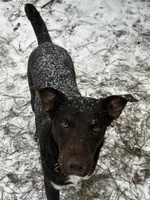 processed/d8c5a45d-9499-4f1c-b102-2b7a7618b096/listing/02f22da3-dc20-4226-b8c7-def0f030d606/9d86931c-cc98-465f-9de1-d962972e1e44