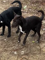 processed/d8c5a45d-9499-4f1c-b102-2b7a7618b096/listing/02f22da3-dc20-4226-b8c7-def0f030d606/b09f3f4c-79e1-4c3b-bda8-2c0fe7acda5d