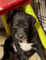 processed/d8c5a45d-9499-4f1c-b102-2b7a7618b096/listing/02f22da3-dc20-4226-b8c7-def0f030d606/b433252d-f609-4cc4-bbe3-afbf4fc6765b