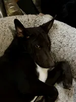 processed/d8c5a45d-9499-4f1c-b102-2b7a7618b096/listing/02f22da3-dc20-4226-b8c7-def0f030d606/deada876-e3a9-443a-b47b-2c48d1a22c05