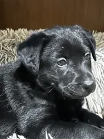 processed/d8c5a45d-9499-4f1c-b102-2b7a7618b096/listing/1abb6d3b-d143-41d5-a029-febb31458ea7/01406674-3421-45aa-ae82-80c40dbf83cd