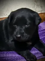 processed/d8c5a45d-9499-4f1c-b102-2b7a7618b096/listing/1abb6d3b-d143-41d5-a029-febb31458ea7/1371031f-cbe9-4895-bcca-bd7903c32ede